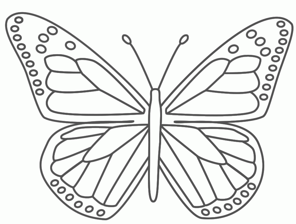 Butterfly Coloring Pages For Kids | Coloring Pics