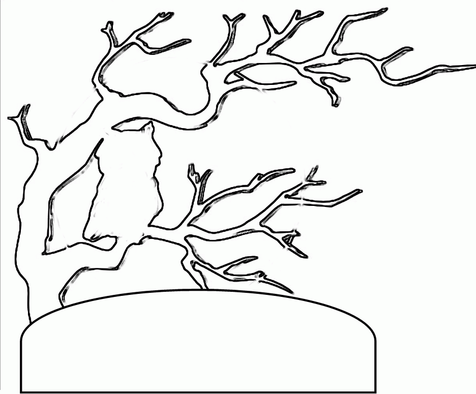 Pix For > Spooky Tree Outline