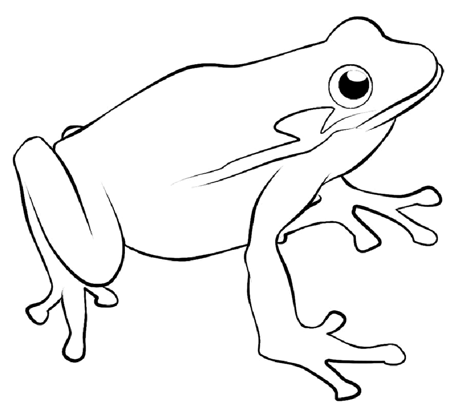 Coloring Pages Frogs - Free Printable Coloring Pages | Free 