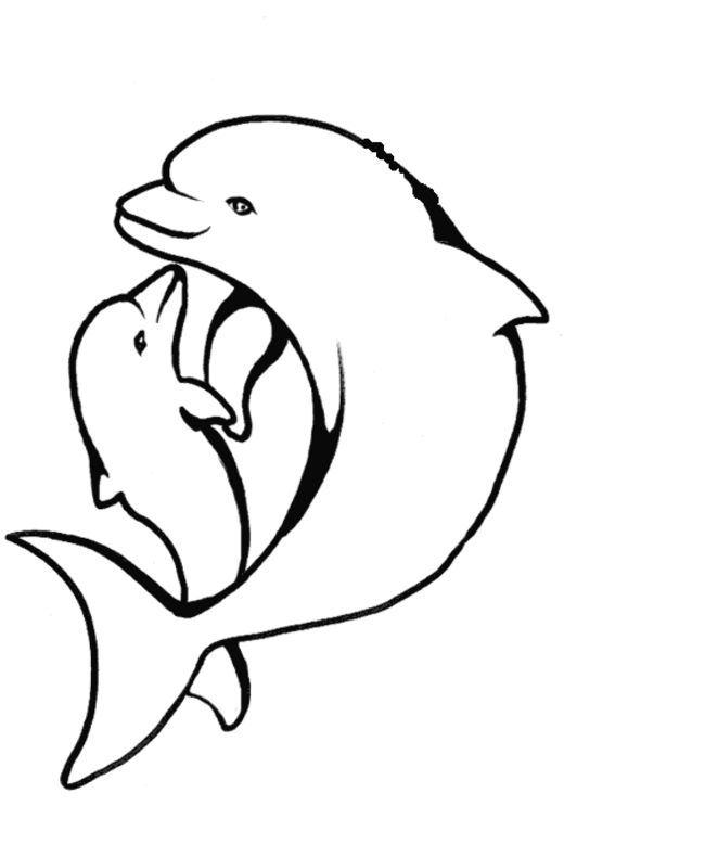 Coloring Pages Of A Dolphin 131 | Free Printable Coloring Pages