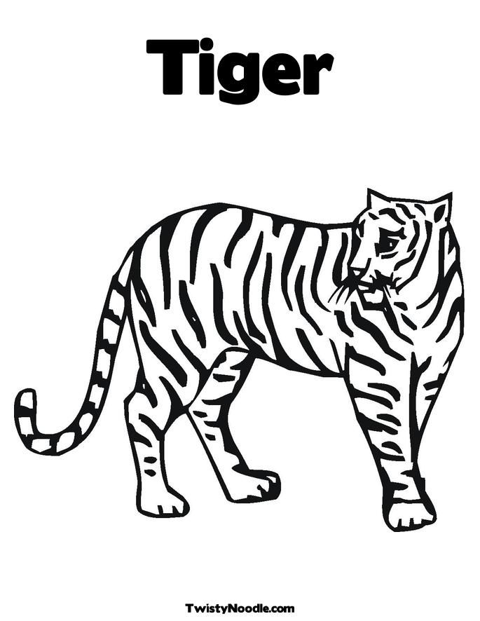 Tiger football Colouring Pages