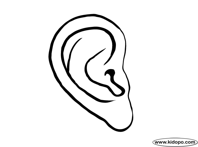 Human Ear Coloring page