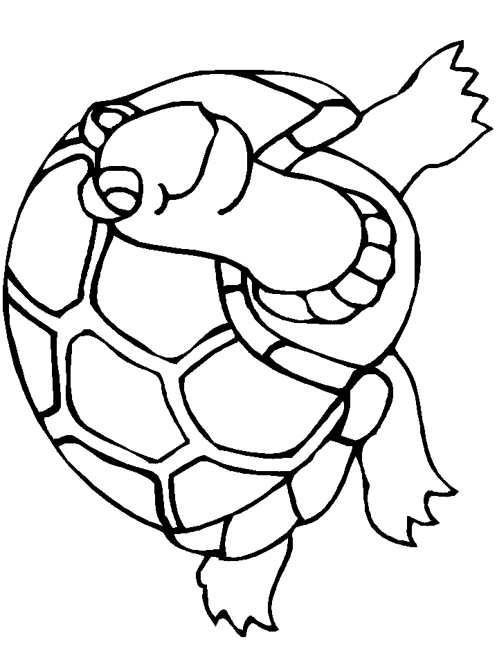 Free Baby Turtle Coloring Pages Print | Animal Coloring Pages 