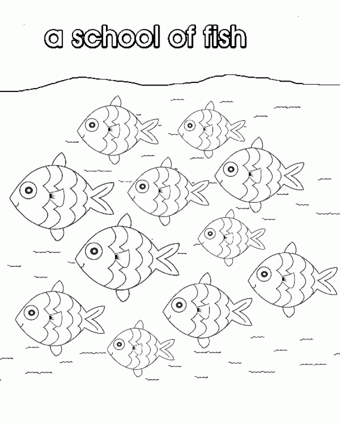 School Of Fish - Collective Nouns - Colouring Pages