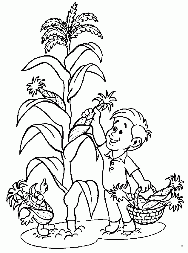 corn plant coloring page - Google Search | Ideas for Teachers ...