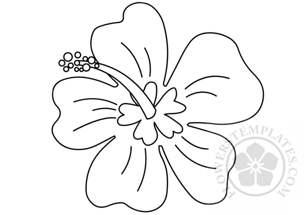 Drawing Hawaiian Flower Coloring Page | Flowers Templates