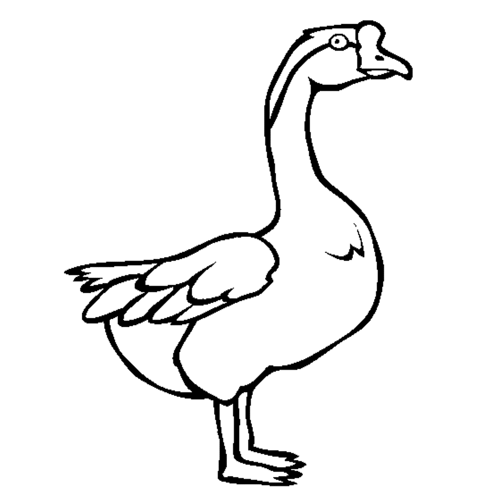 Swan Goose Printable Animal Coloring Pages | Animal Coloring pages ...