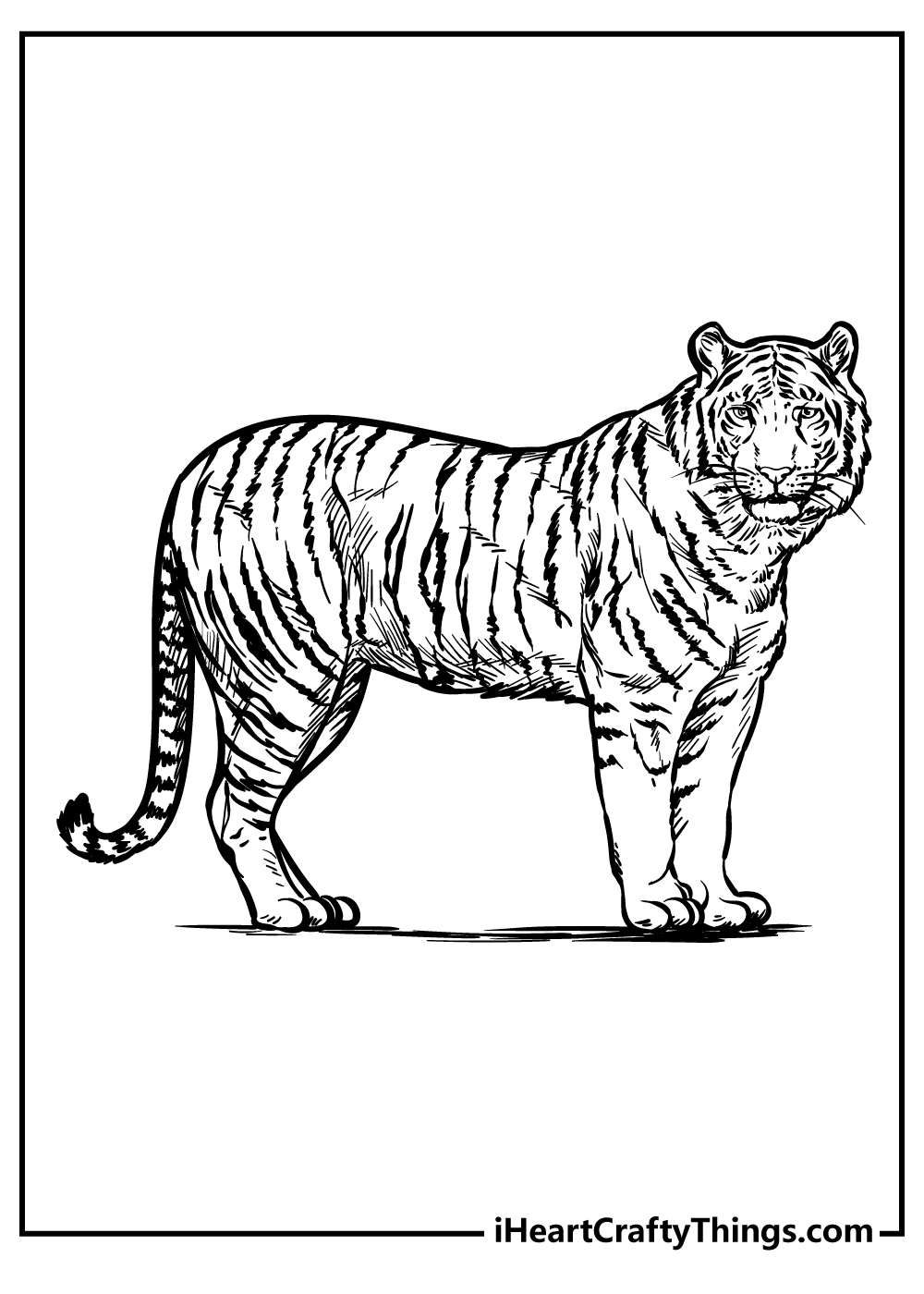 Zoo Keeper Coloring Pages - Coloring Nation