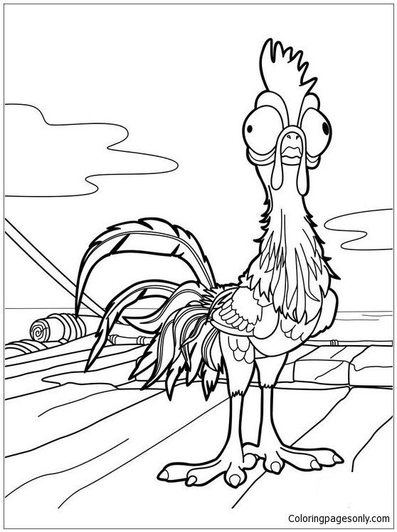 Hei Hei from Moana coloring page, felt template idea | Disney coloring pages,  Moana coloring pages, Moana coloring