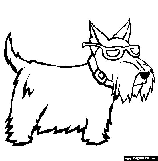Scottish Terrier Coloring Page | Free Scottish Terrier Online Coloring |  Dog coloring page, Puppy coloring pages, Scottish terrier
