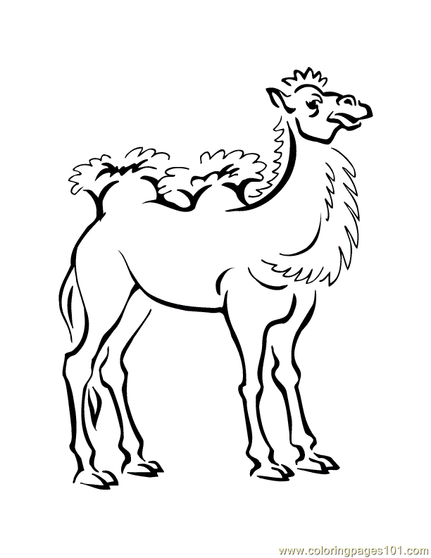 Coloring Pages Camel (Mammals > Camel) - free printable coloring 