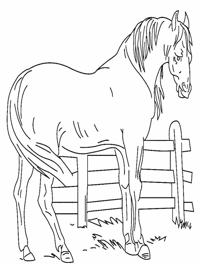 Coloring Pages Of A Horse 116 | Free Printable Coloring Pages