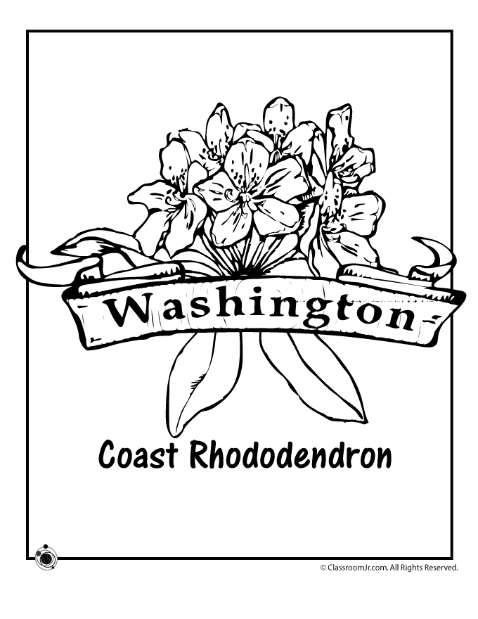Coast Rhododendron - Washington State Flower Coloring Page