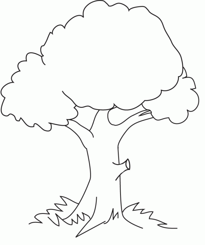 A Very Shady Tree Coloring For Kids - Tree Coloring Pages : Free 