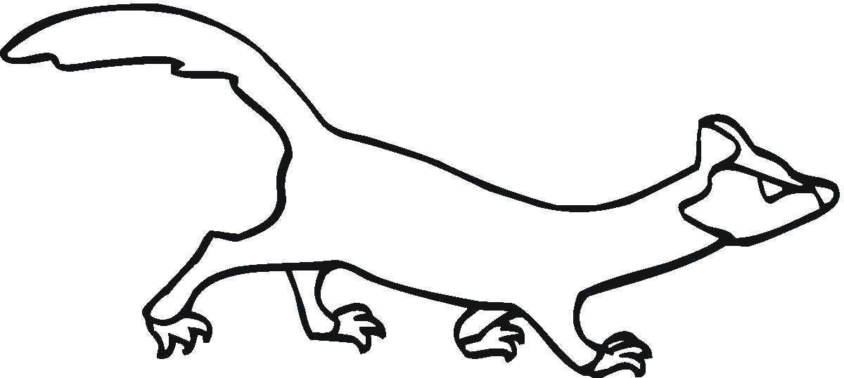 FERRET Colouring Pages (page 2)