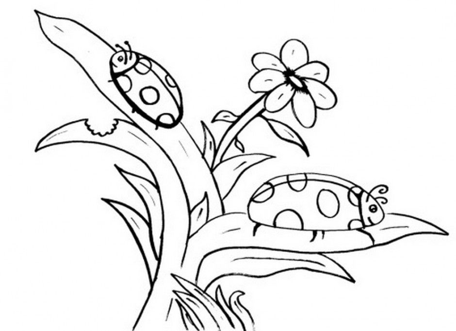 Free Printable Coloring Page To Ladybug Coloring Animals Insects 