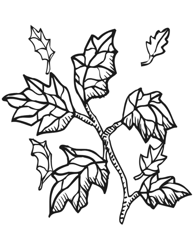 Free Printable Coloring Pages Autumn | Free coloring pages for kids