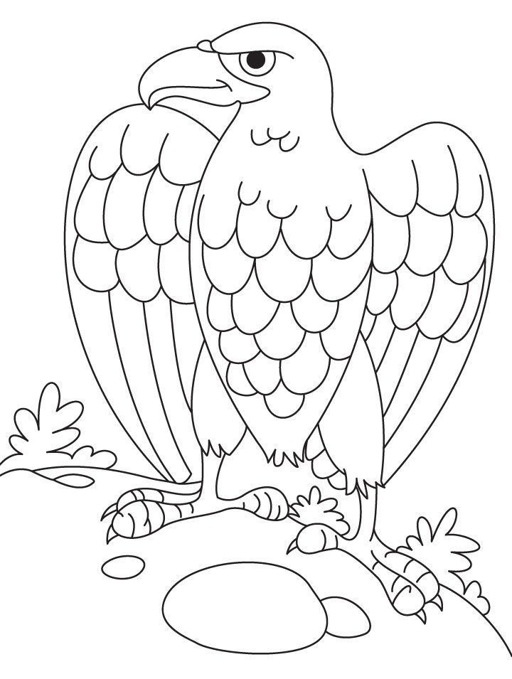 Eagle Coloring Page Images & Pictures - Becuo