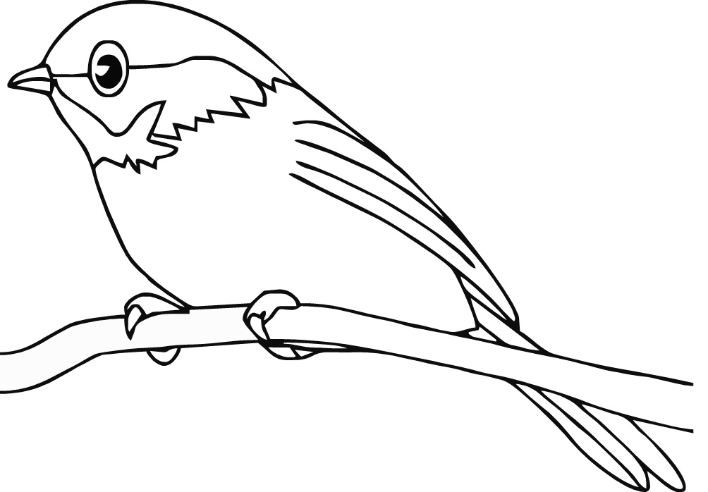 coloring pages for kids of a parrot : Printable Coloring Sheet 