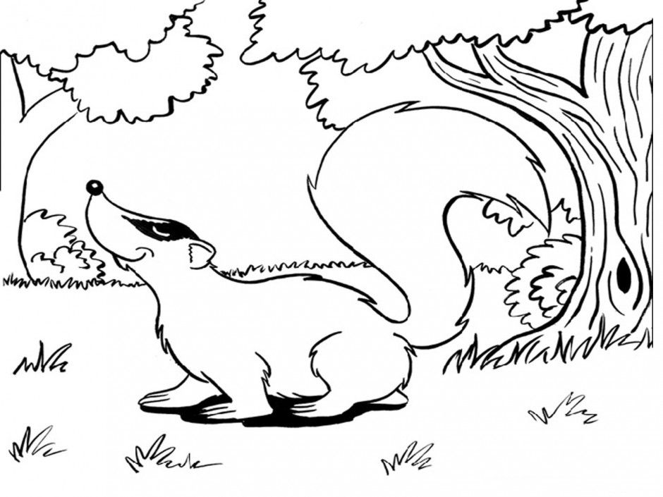 Africa Safari Wildlife Coloring Pages Free Coloring Pages For 