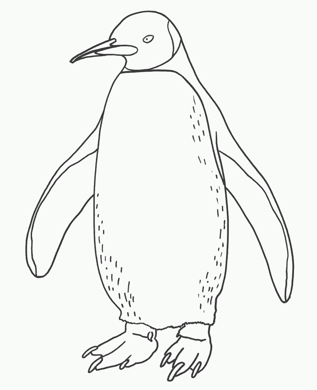 Penguin Coloring Pages