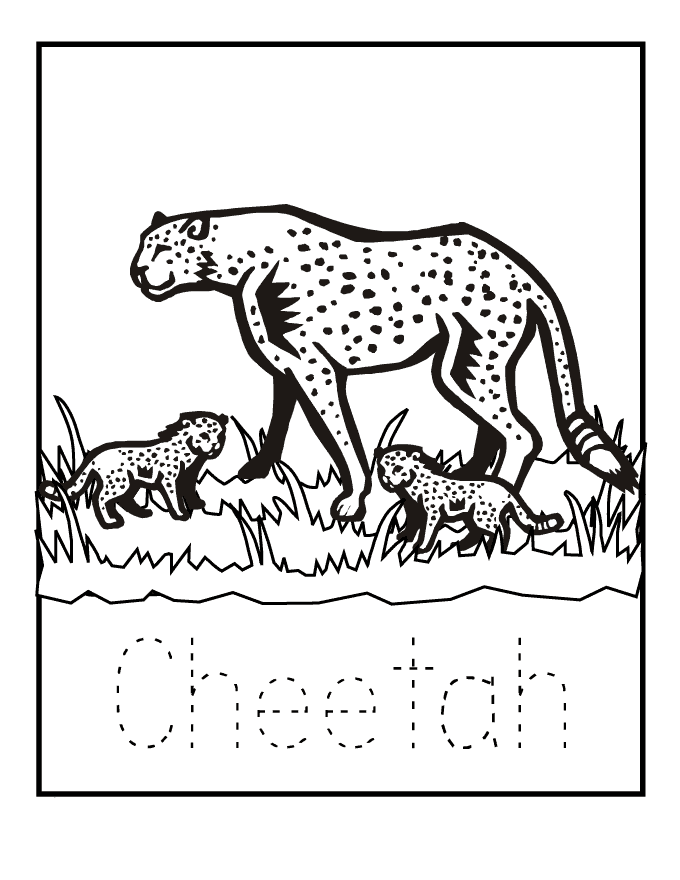 Cheetah coloring page - Animals Town - Free Cheetah color sheet
