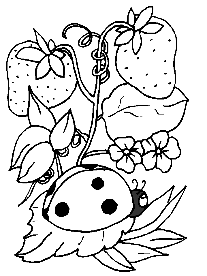 Cute Ladybug Coloring Pages | Find the Latest News on Cute Ladybug 