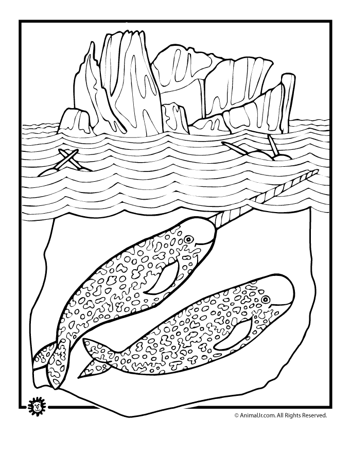 narwal Colouring Pages (page 3)