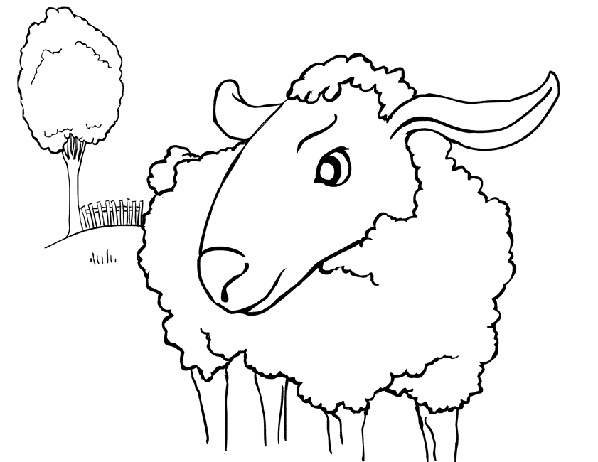 Sheep coloring page - Animals Town - animals color sheet - Sheep 
