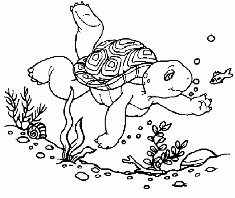 Turtle Seen Fish Coloring Page - Kids Colouring Pages