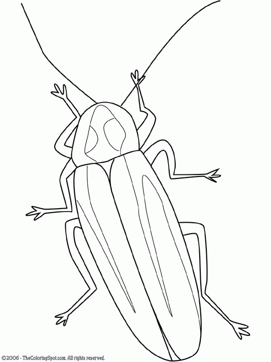 Lighting bug coloring page