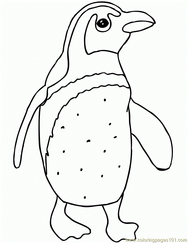 Free Printable Coloring Page Penguin Birds Penguin