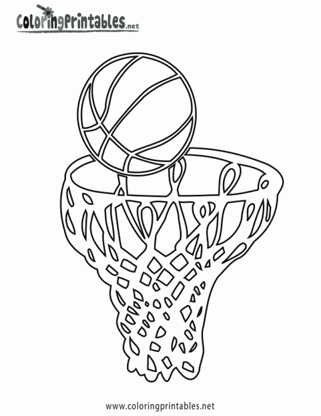 Basketball Printable Coloring Pages 118499 Label Basketball 244815 