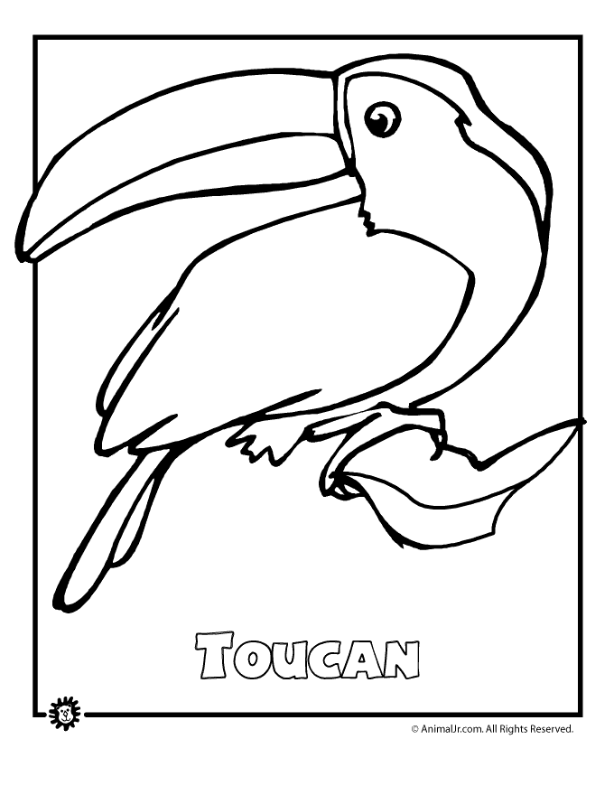 Endangered Animal Coloring Pages 750 | Free Printable Coloring Pages