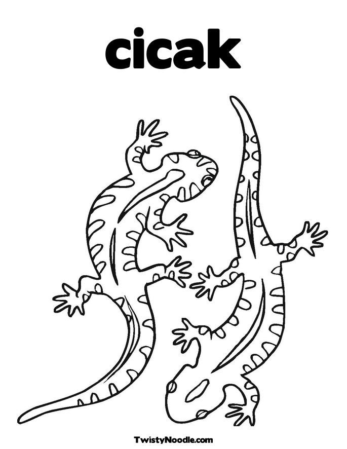 Jesus Lizard Colouring Pages - Coloring Nation