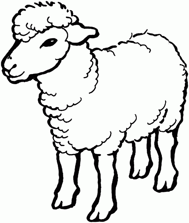 adorable Lamb Coloring Pages For Kids | Great Coloring Pages