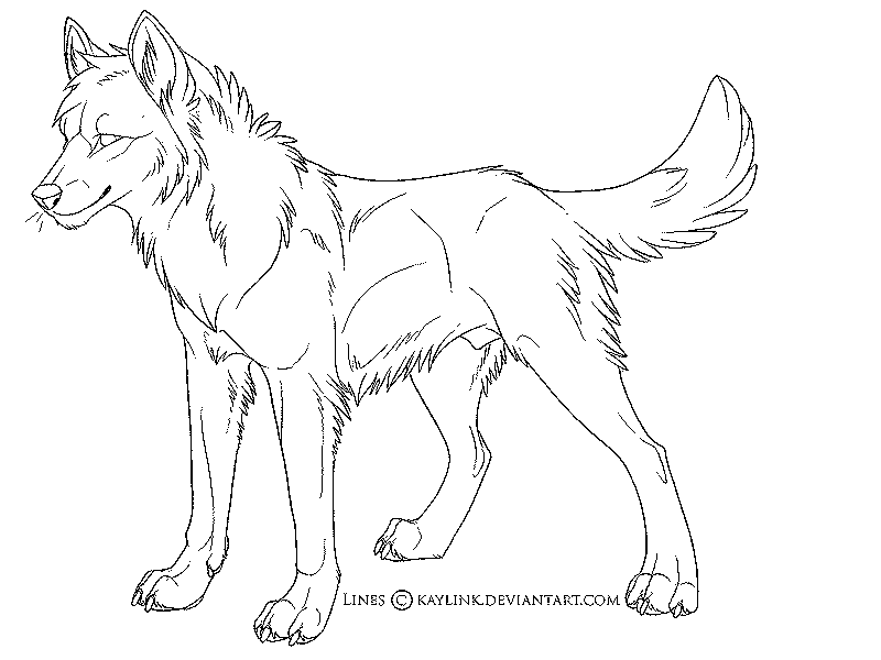 Wolf Coloring Pages For Adults