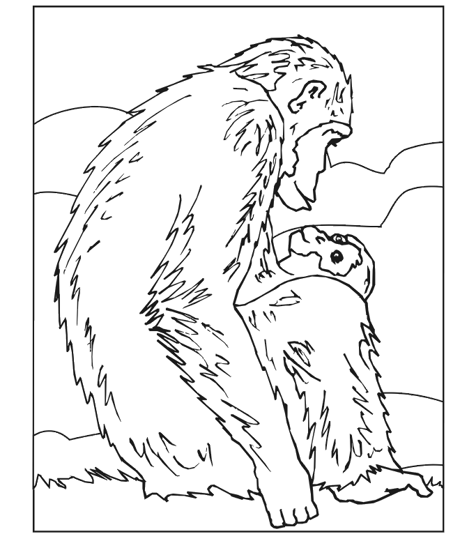 Monkey Coloring Page to Print | Coloring