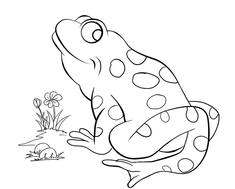 Reptile Coloring Pages 123 | Free Printable Coloring Pages