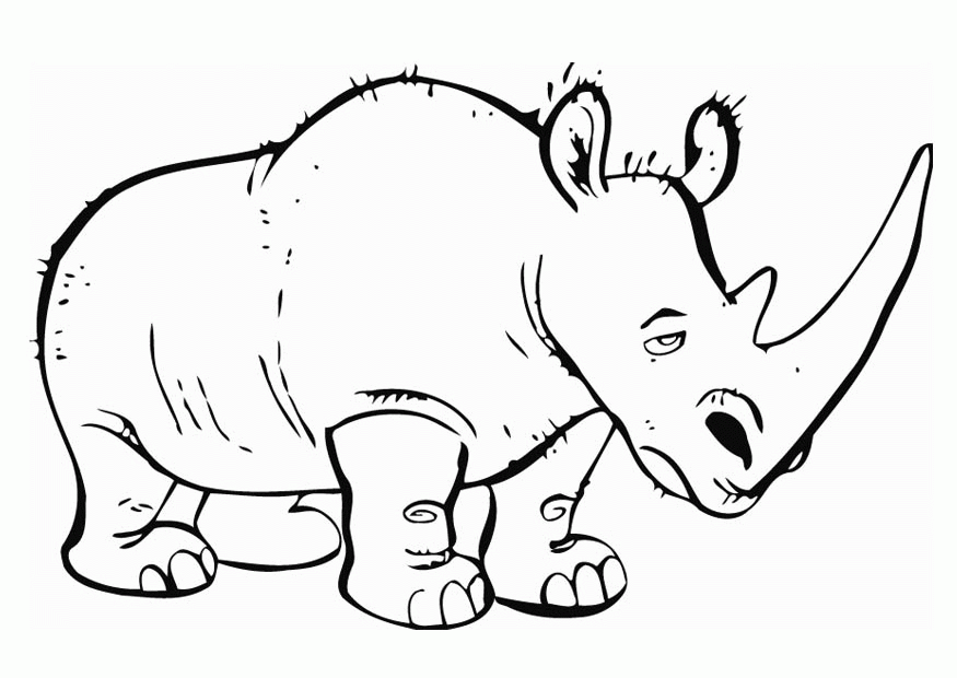 6 Rhinoceros Coloring Page | Free Coloring Page Site
