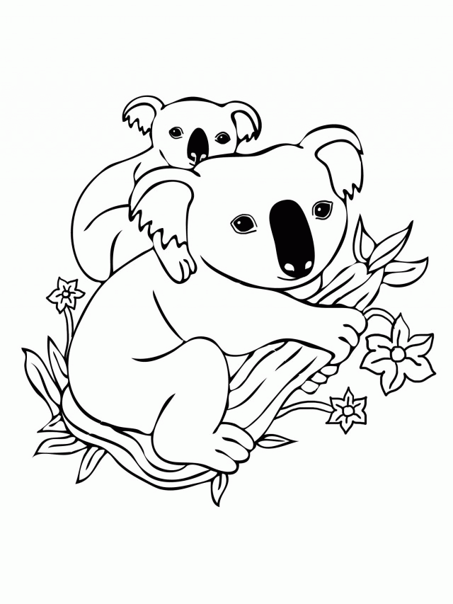 Baby Koala Coloring Pages Coloring Pages Coloring Pages For 291421 