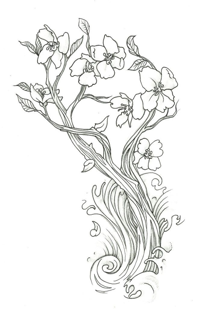 Cute Cherry Blossom Drawing | Laptopezine.