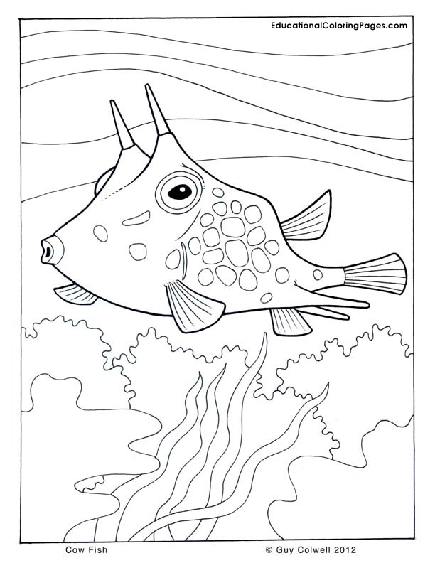 Sea Life Coloring Pages Printable Cowfish - Get Coloring Pages