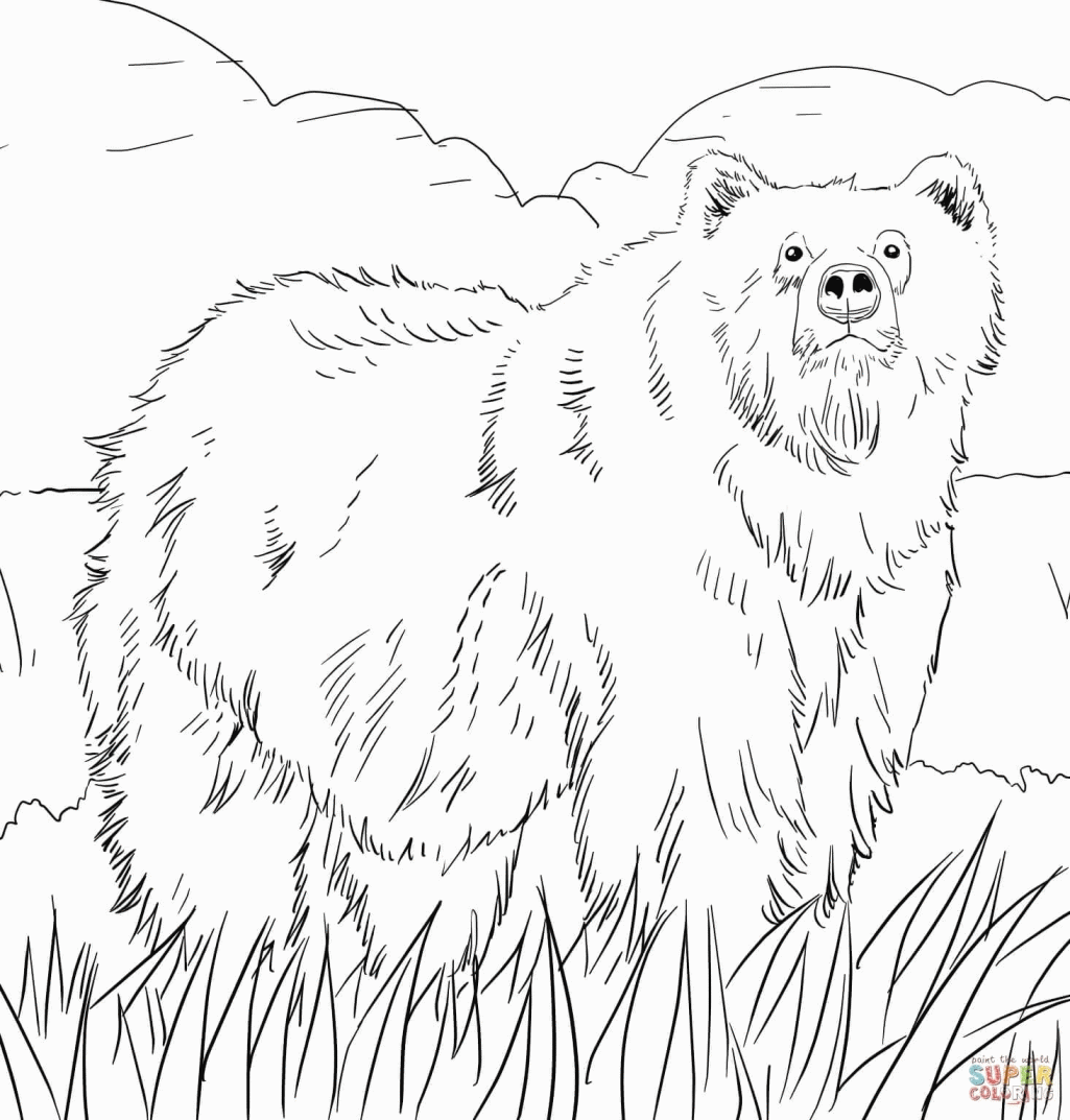 Woodland Animals Coloring Pages Free Printable Pictures Alaska ...