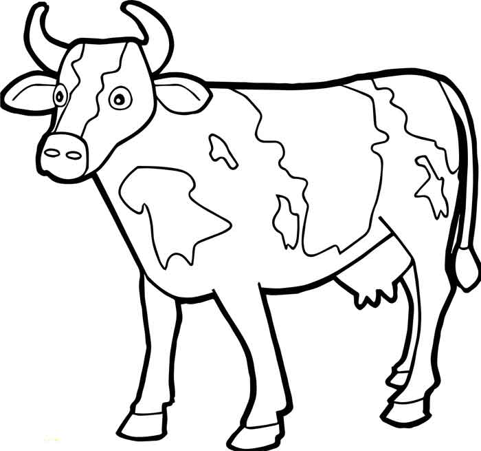 12 Best Free Printable Cow Coloring Pages For Kids and Adults