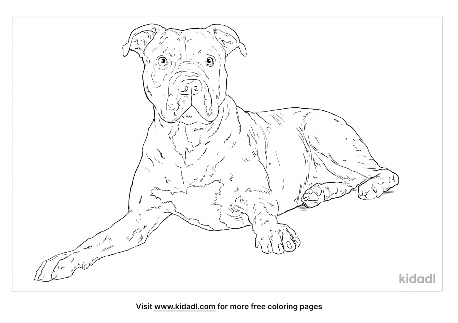 Red Nose Pitbull Coloring Pages | Free Animals Coloring Pages | Kidadl