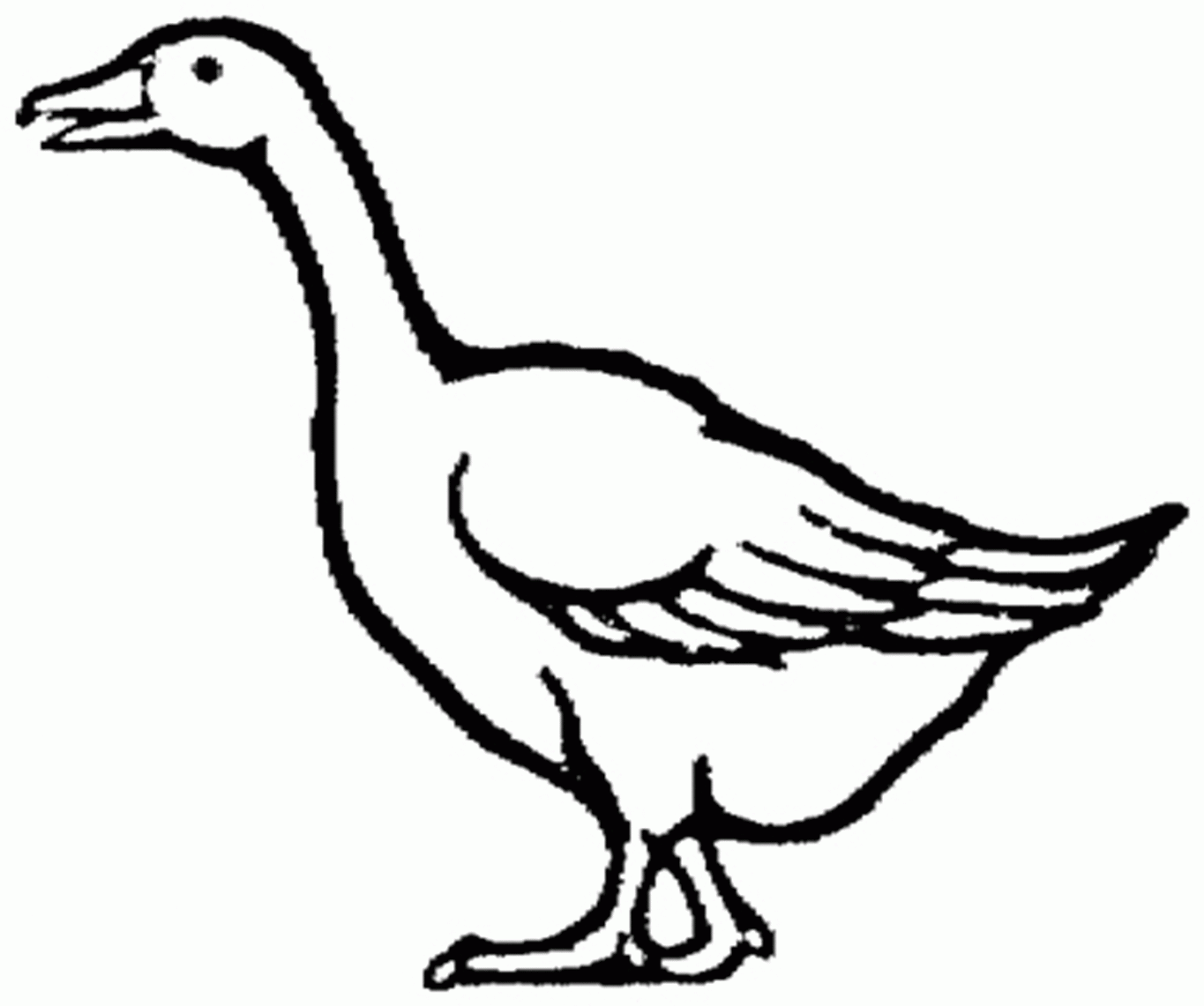 Printable Animal Coloring Pages Free Goose | Animal Coloring pages ...