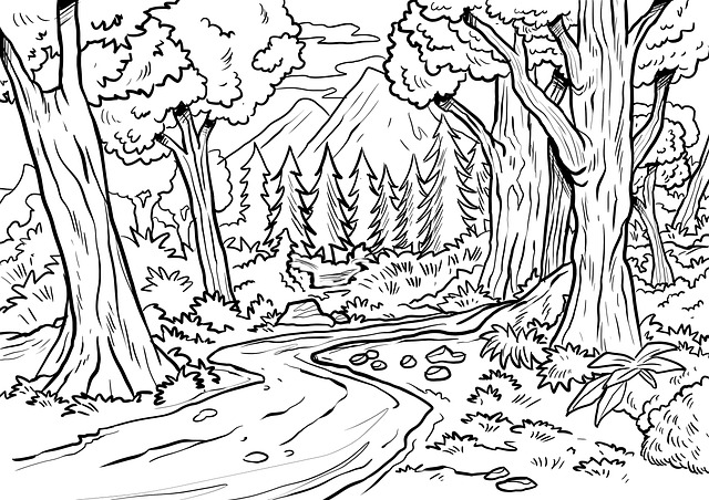 Free photo Coloring Picture Trees Forest Drawing Nature - Max Pixel