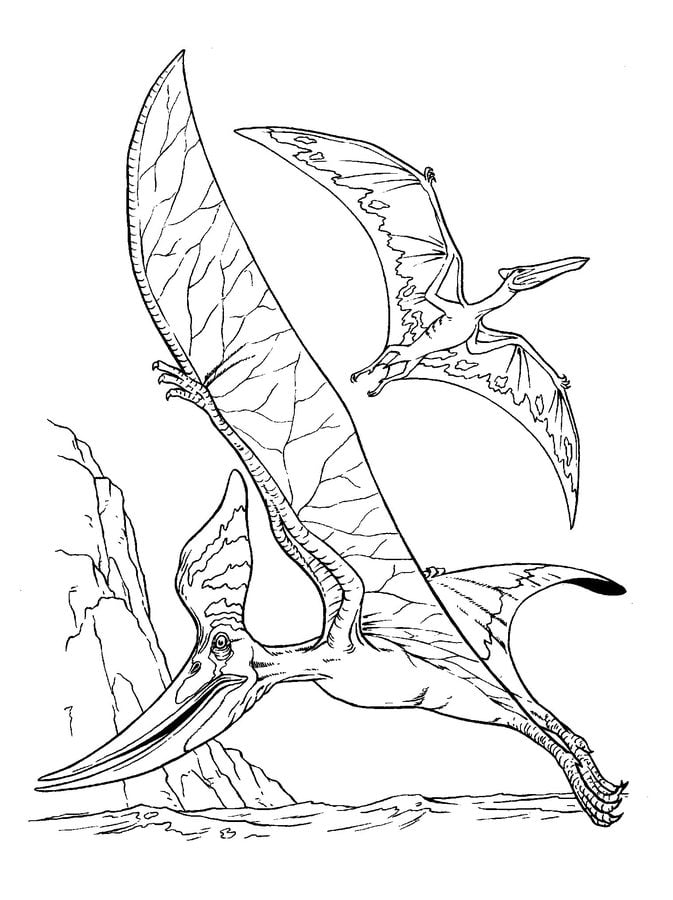 Coloring pages: Pterodactyl, printable for kids & adults, free
