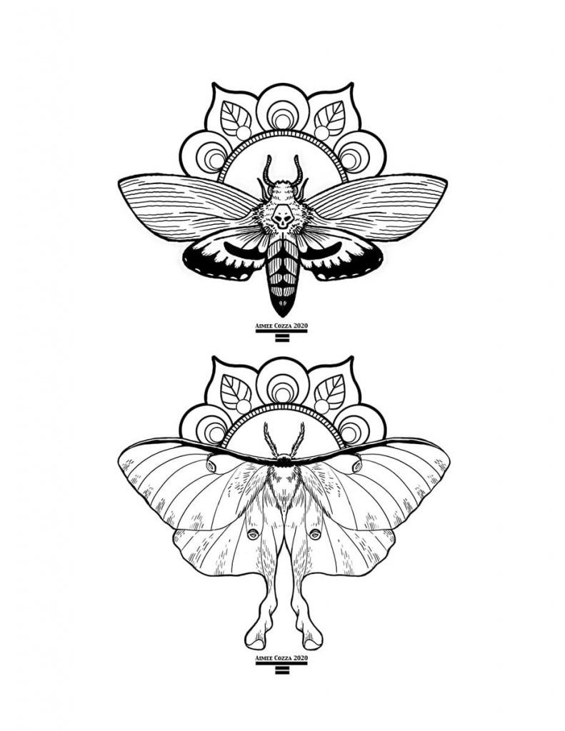 Moths Coloring Page Download - Link in comments : r/coloringpages